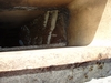 bees in Chimney