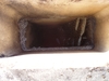 bees in Chimney