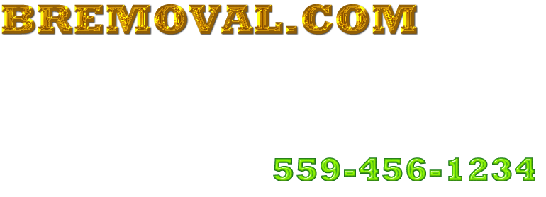 bremoval.com