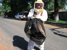 Bee Removal Expert with bag of bees