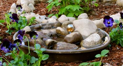 Bee Bath Water Dish