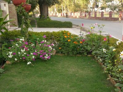 Bee Friendly Flowerbed